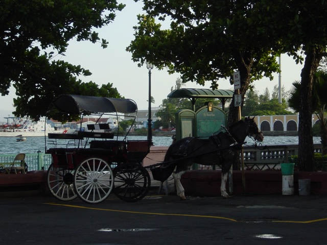 DSC00738
