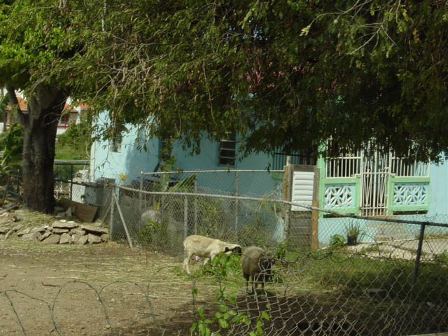 DSC00767