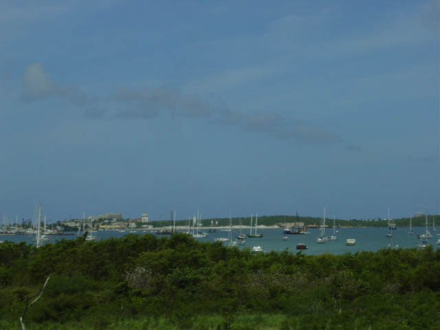 DSC00768