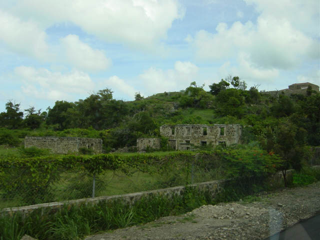 DSC00771