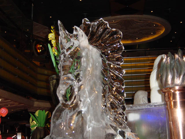 DSC00807