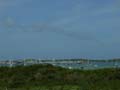 DSC00768