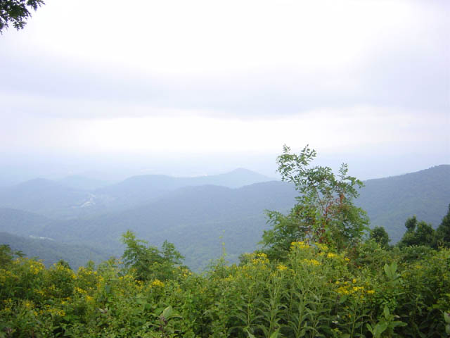DSC01733