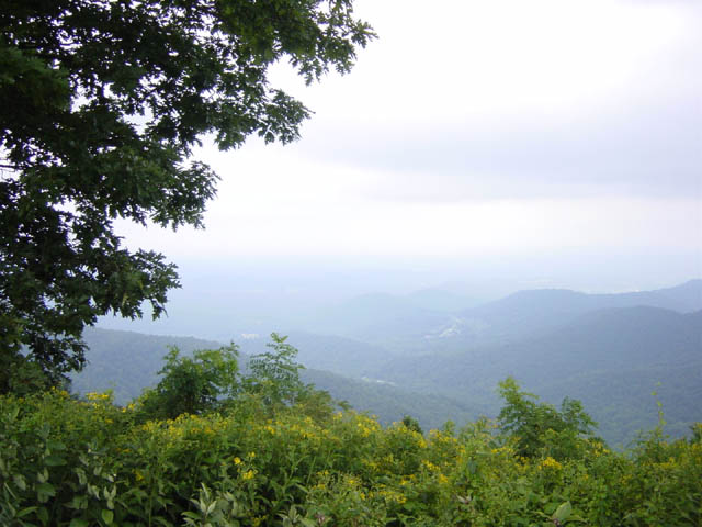 DSC01734