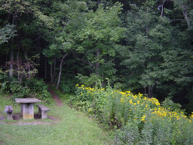 DSC01752