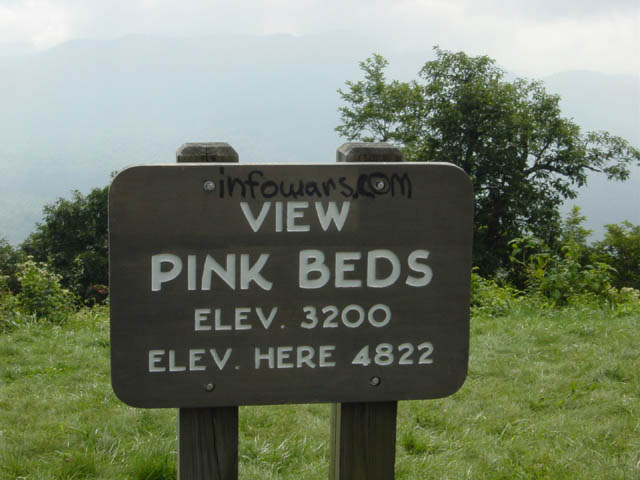 DSC01761