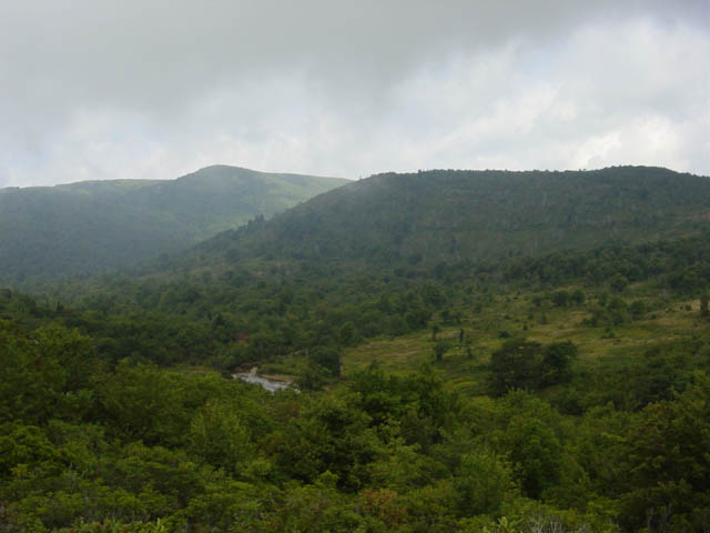 DSC01774