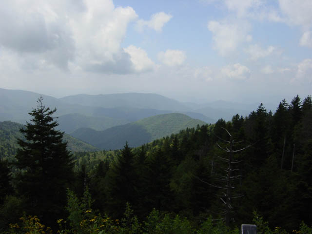 DSC01779