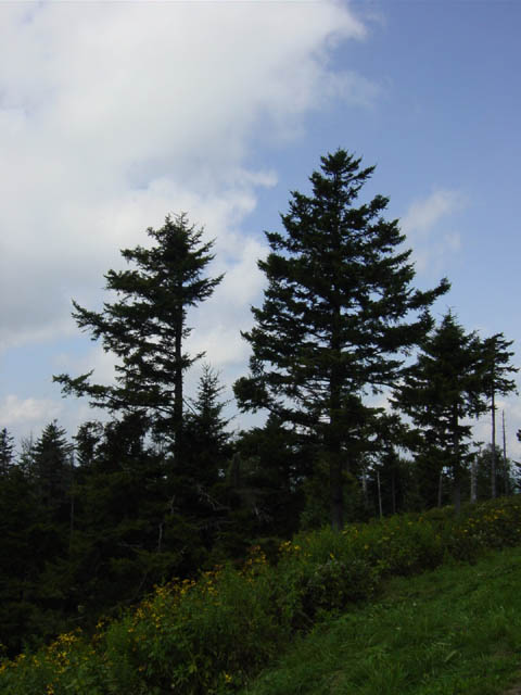 DSC01780