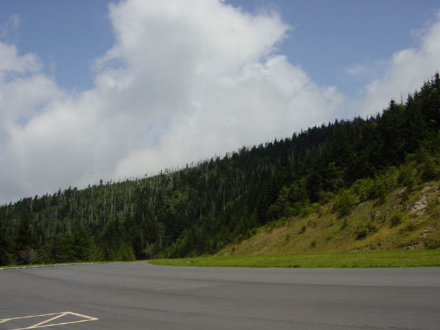 DSC01783