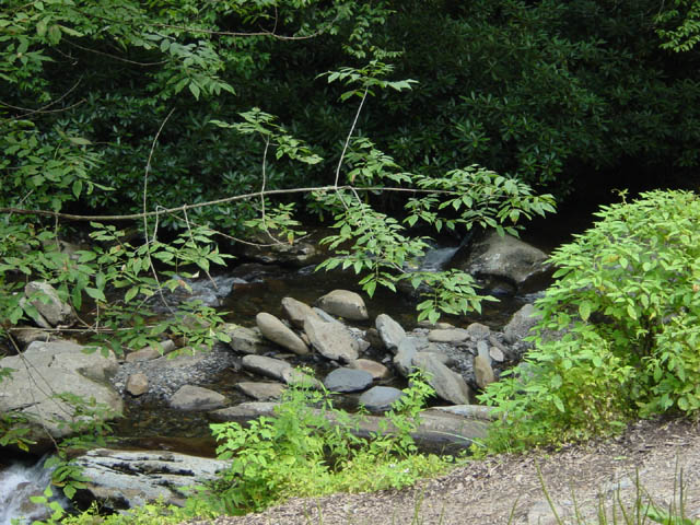 DSC01791