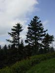 DSC01780