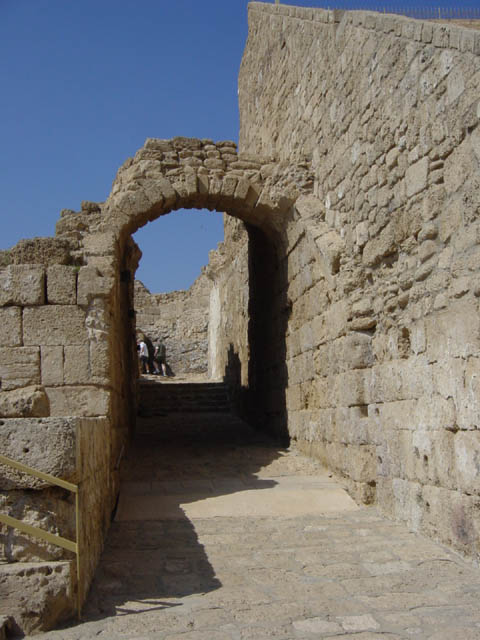 DSC00869