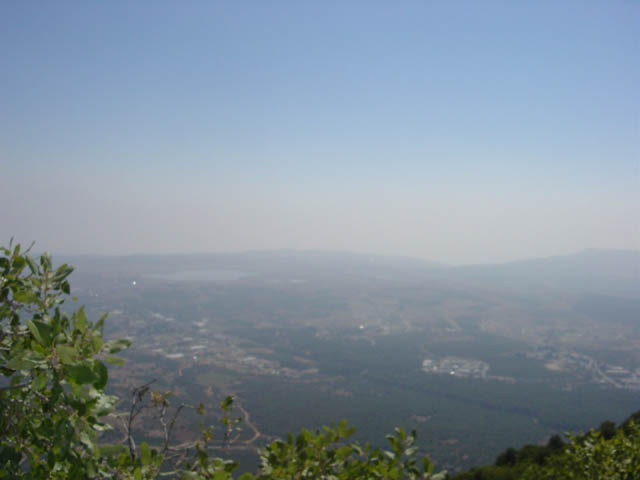 DSC00884