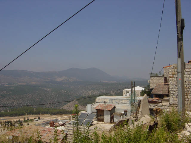 DSC00888