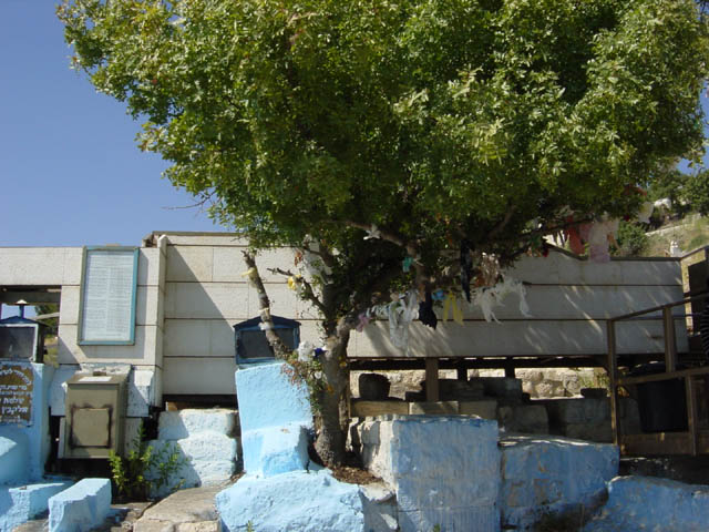 DSC00899