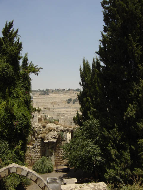 DSC00955