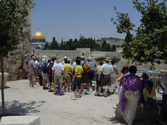DSC00961