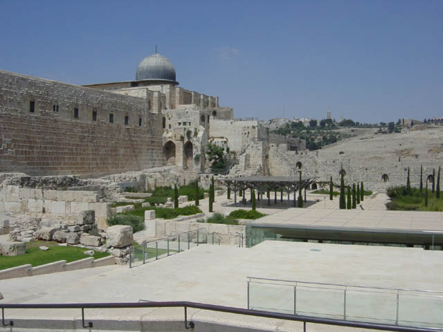 DSC00976