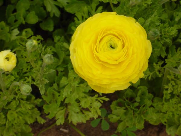 DSC00094