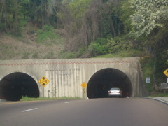 CIMG3430.JPG