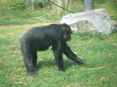 CIMG3441.JPG