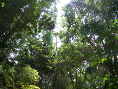 CIMG3620.JPG