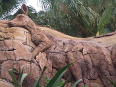 CIMG3633.JPG