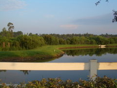 CIMG2205.JPG