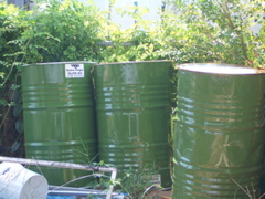CIMG2222.JPG