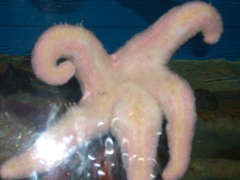 CIMG2265.JPG