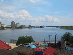 CIMG2279.JPG