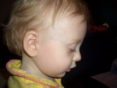 CIMG3655.JPG