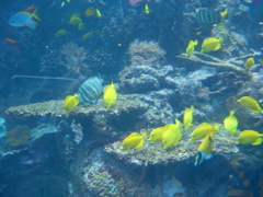 CIMG3785.JPG