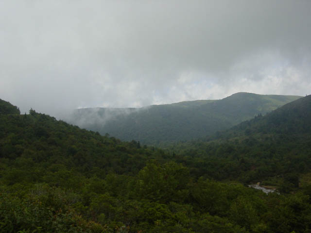 DSC01775