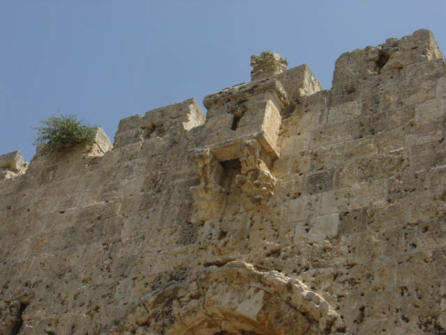 DSC00945
